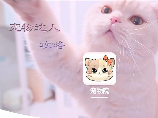 宠物院APP