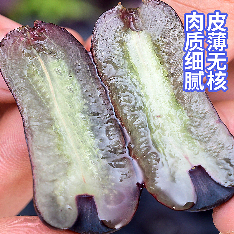 葡萄蓝宝石的拍摄 主图 详情设计