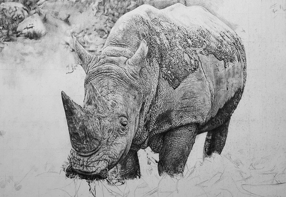 王抽风50小时写实作品《犀牛》作画步骤