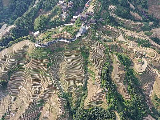 龙胜梯田