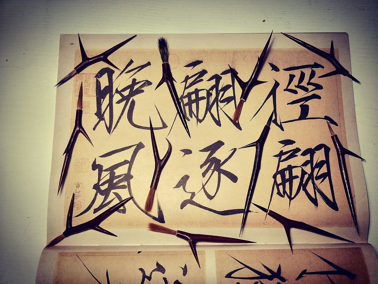 龍角棘  《兽荆体毛笔》金榜题名  荆绑提明