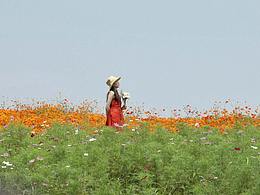 想把你埋進(jìn)懷里，發(fā)芽開(kāi)花。