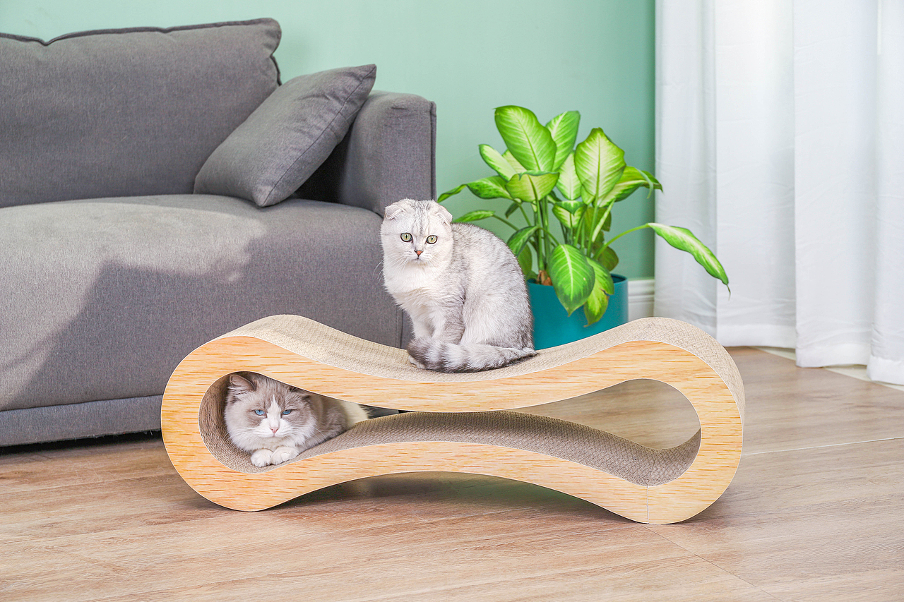 宠物用品类猫抓板拍摄（图ZMjM2NDI4OTQ4） - 宠物摄影 - 站酷设计师广州宠物产品摄影原创素材 - 站酷ZCOOL