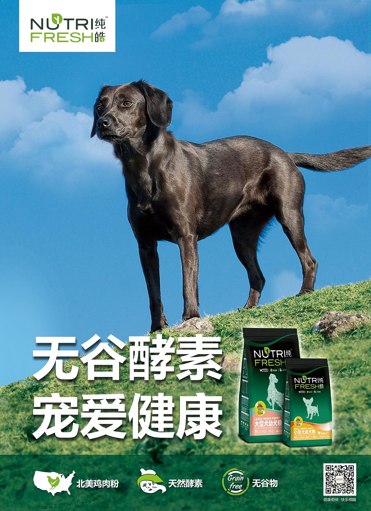 天然寵愛狗糧視覺設計（圖ZMTA4NTgzMTE2） - 海報 - 站酷設計師年糕姐姐WindyQ原創(chuàng)素材 - 站酷ZCOOL