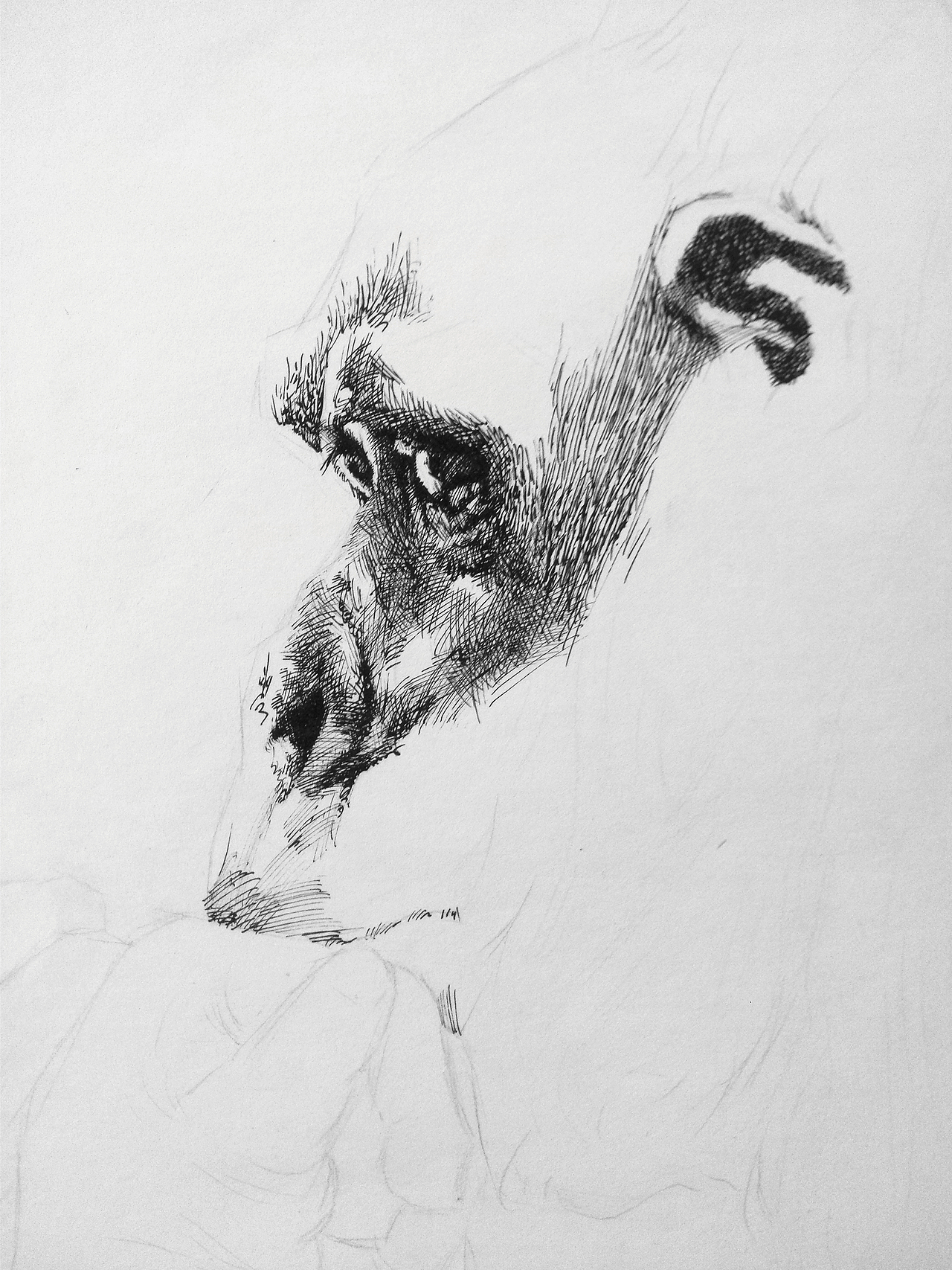 冀晓伟钢笔画《别了》(图ZMjQxNTEzMDg=) - 绘画 - 站酷设计师冀晓伟钢笔画原创素材 - 站酷ZCOOL