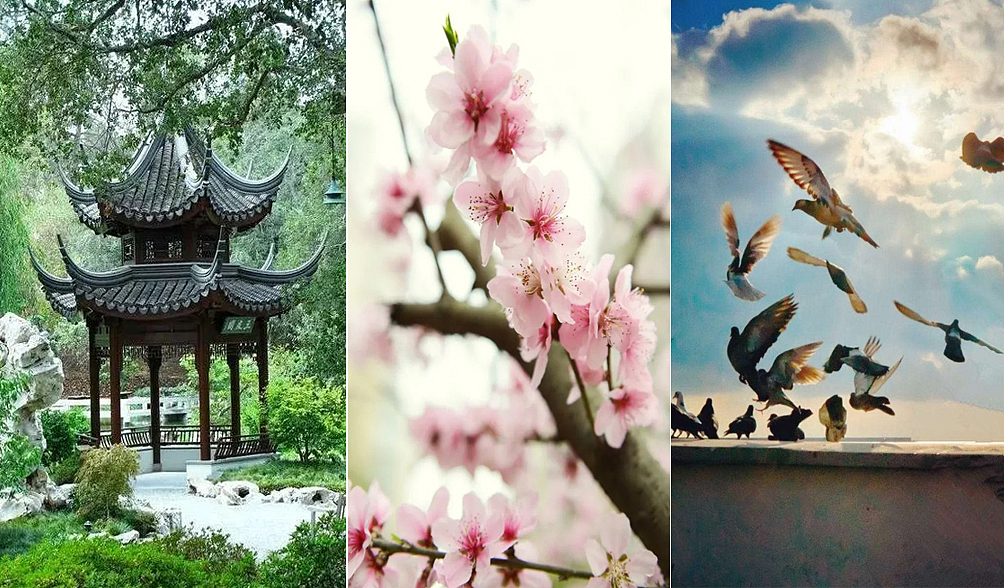 御金池健康足道-重庆足道馆设计-筑格中国设计案例（图ZMjI0NTk1Mzgw） - 家装设计 - 站酷设计师筑格中国原创素材 - 站酷ZCOOL