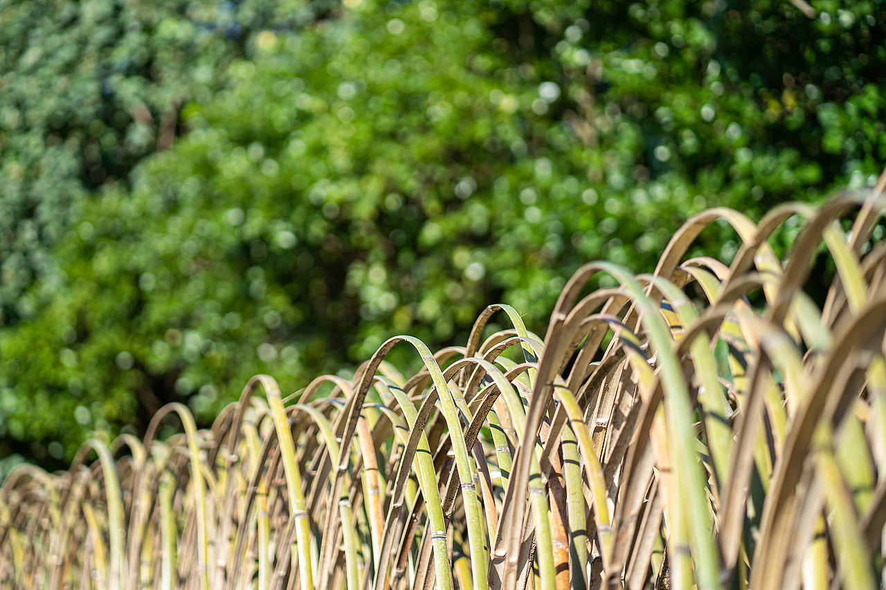 地景藝術《風的季節》（图ZMjQyNTc3MjI0） - 实验艺术 - 站酷设计师林靖格原创素材 - 站酷ZCOOL