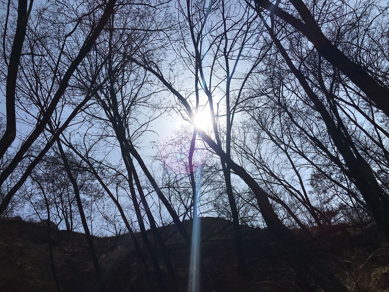 冬日山景 ——撿漏大自然（圖ZMjI1MjIxOTg0） - 人文/紀(jì)實攝影 - 站酷設(shè)計師半斤云原創(chuàng)素材 - 站酷ZCOOL