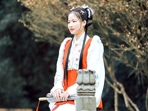 有一美人 清扬婉兮