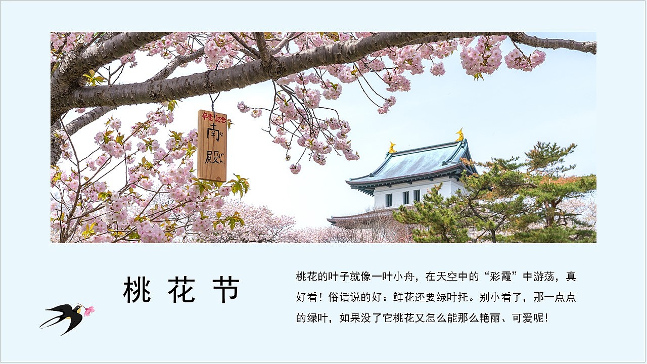 春风十里桃花开春天你好旅游画册宣传PPT模板（图ZMjkwNDA4MDA0） - PPT/Keynote - 站酷设计师PPT设计师01原创素材 - 站酷ZCOOL