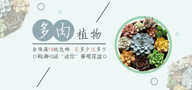 多肉植物banner（图ZMTQ0MTY3MjIw） - 运营设计 - 站酷设计师Karasels原创素材 - 站酷ZCOOL