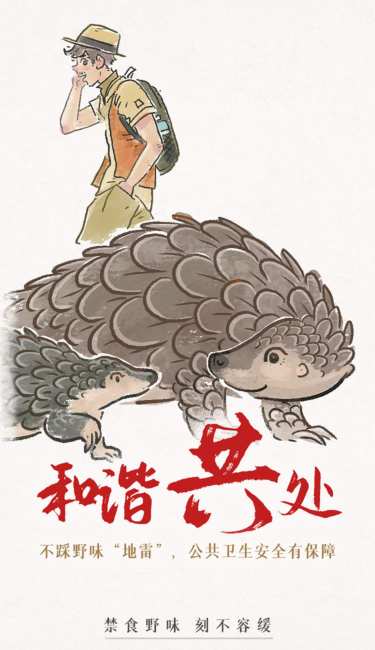 「 禁食野味 」系列插画海报