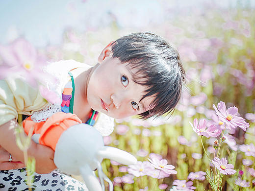 丽江 木楷 2016.10.03