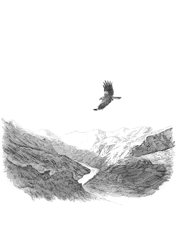素描小品（图ZMTgxNTA5Mzk2） - 商业插画 - 站酷设计师上超工作室原创素材 - 站酷ZCOOL