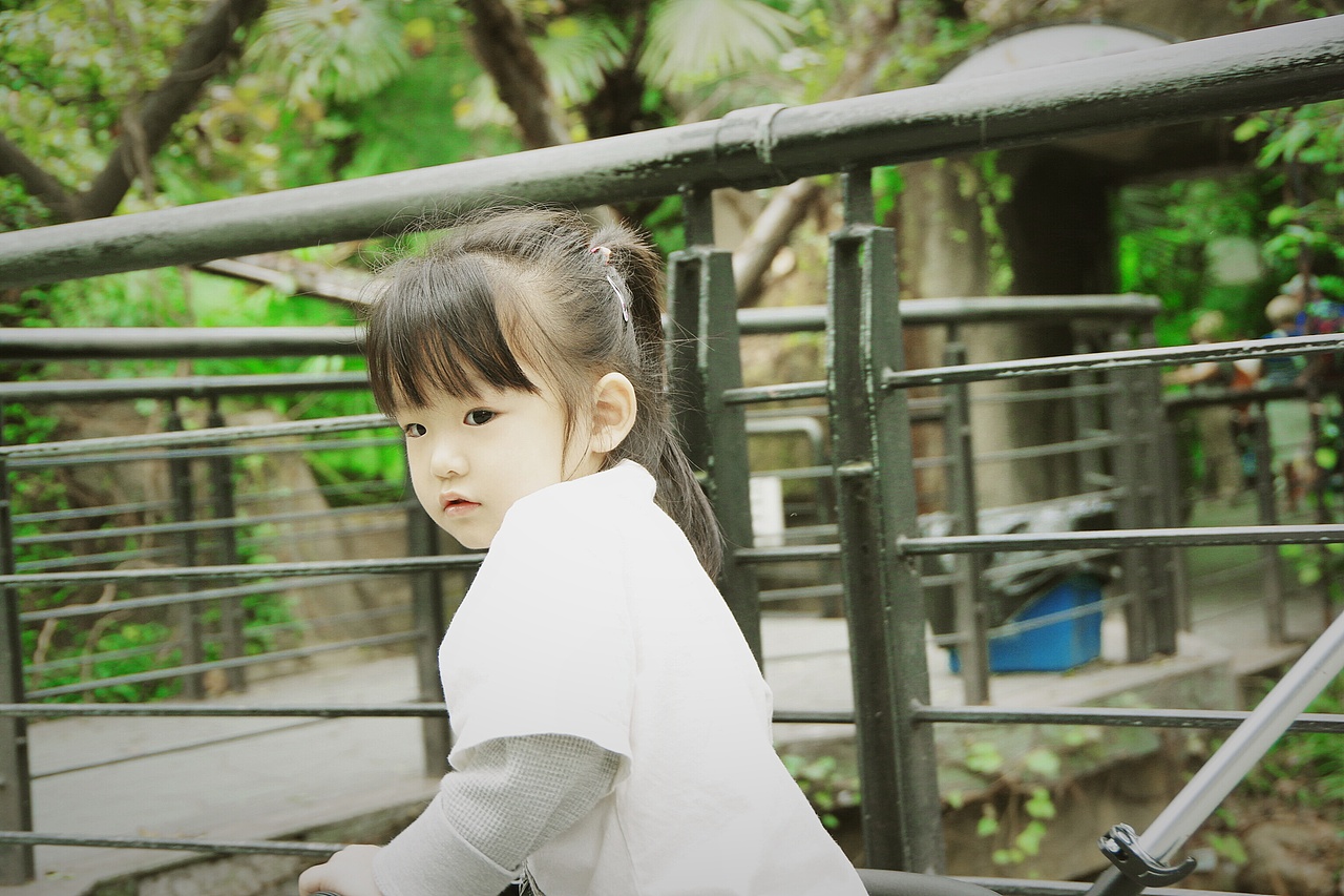 西郊动物园之一