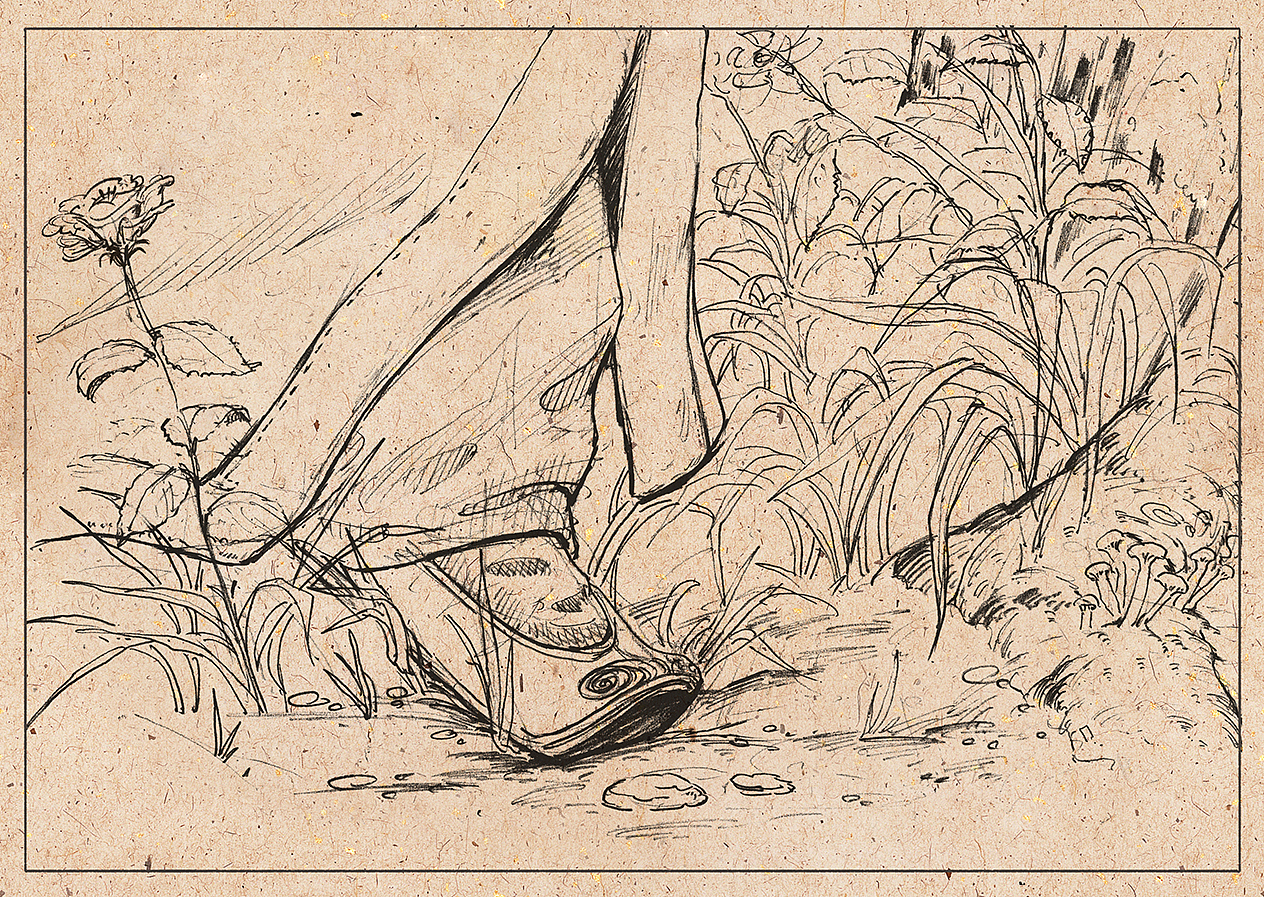 短篇故事《樱花》