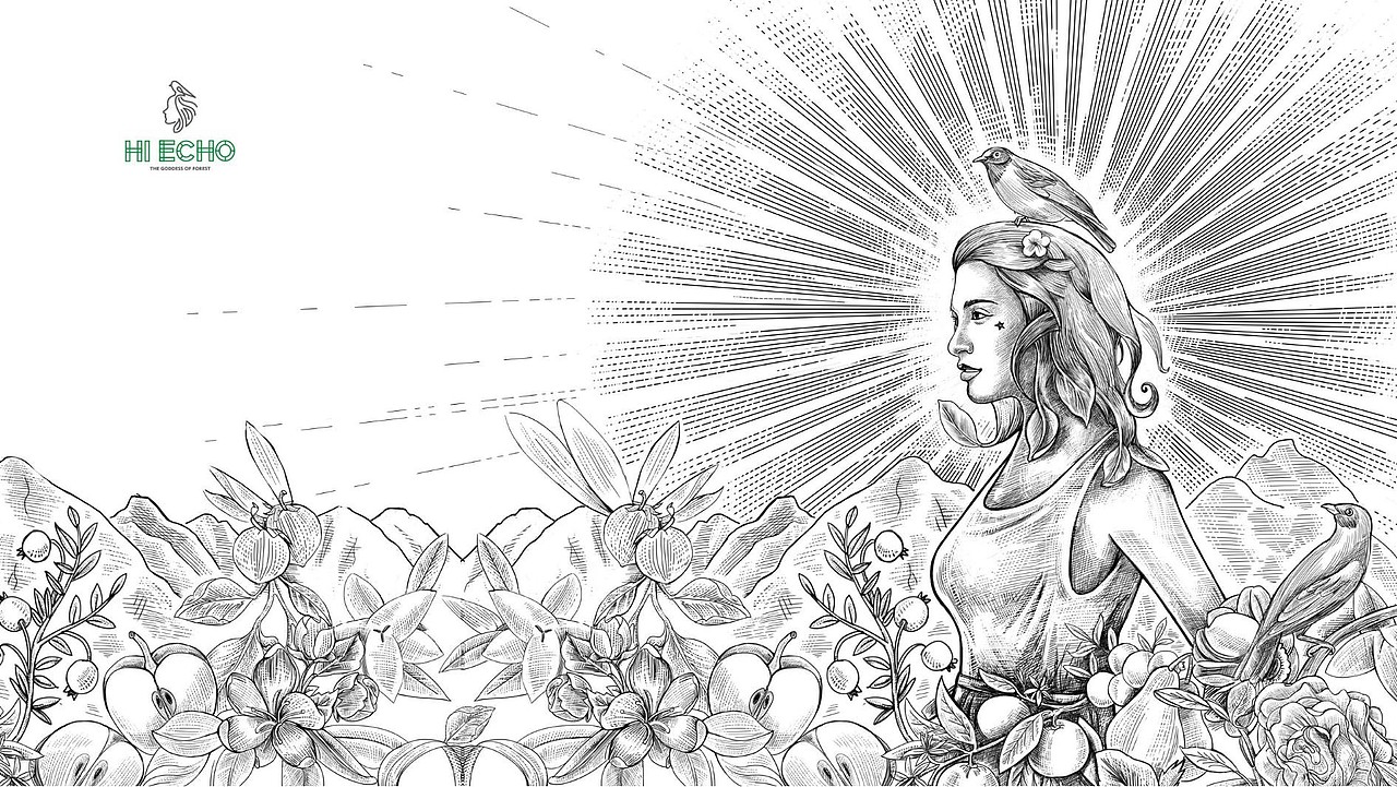 壹峰案例:春生物长的季节,“森林回响”与你灵魂相撞