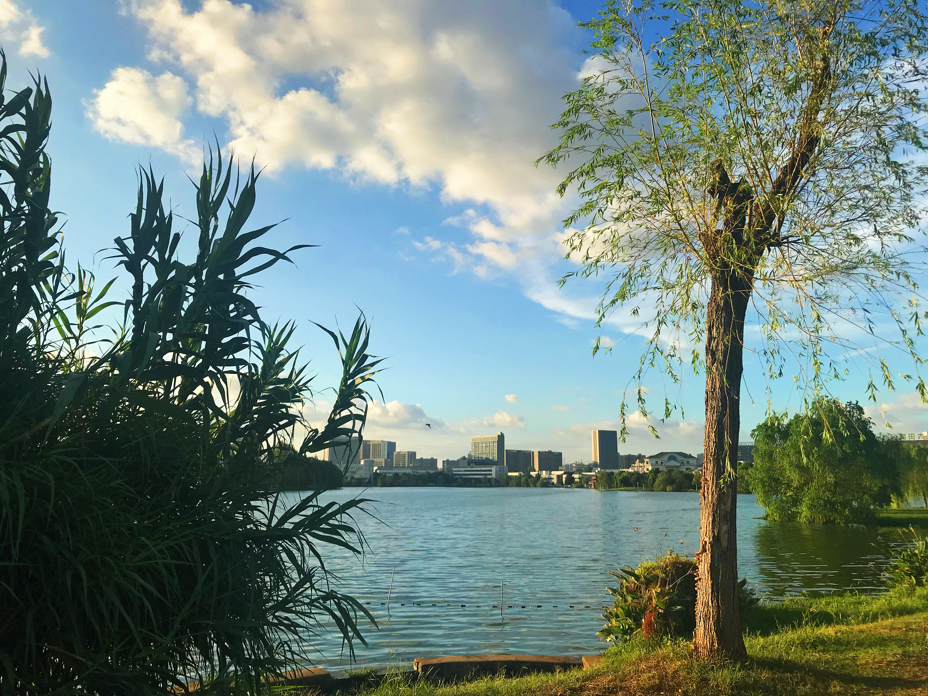 武汉汤逊湖夏日