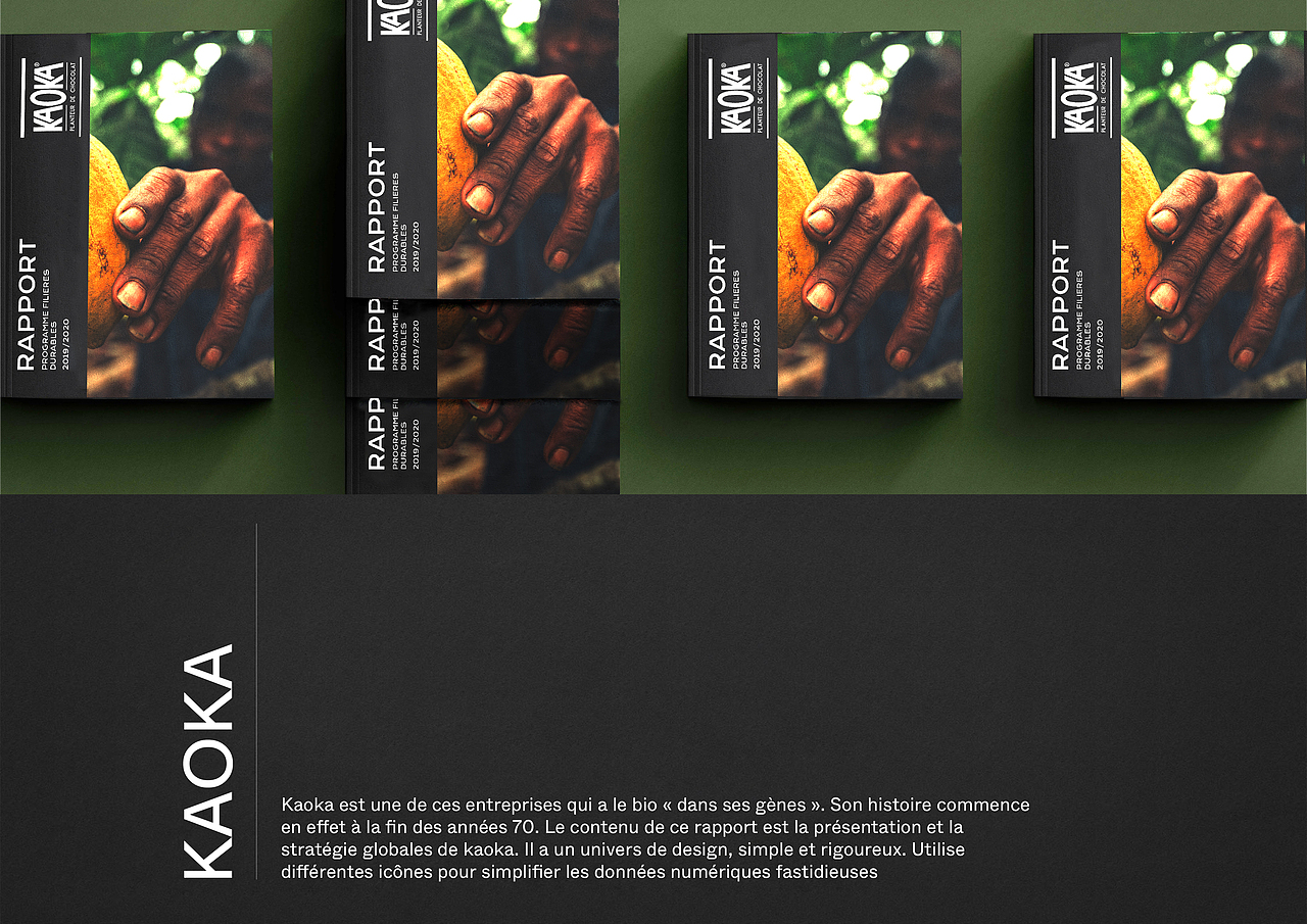 KAOKA RAPPORT 2020 企业画册