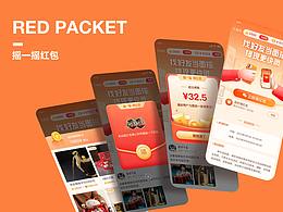 Project summary-2021