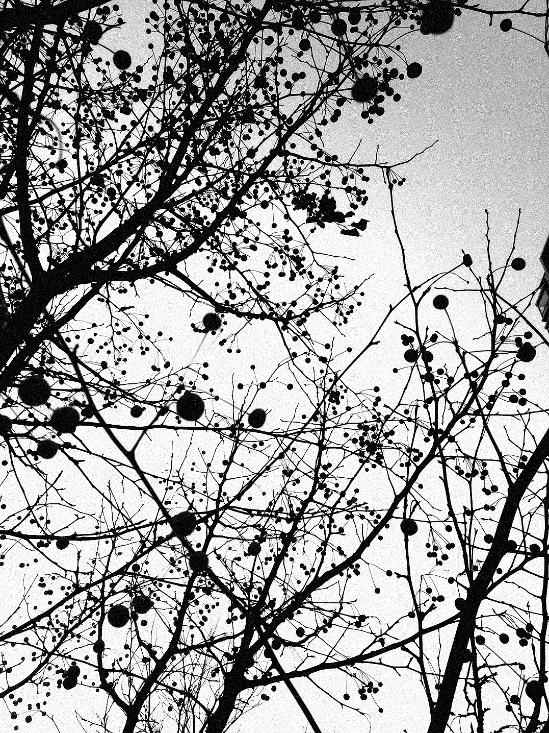 13--16年随拍（图ZNjgxOTM5MDA=） - 风光摄影 - 站酷设计师马文祥原创素材 - 站酷ZCOOL