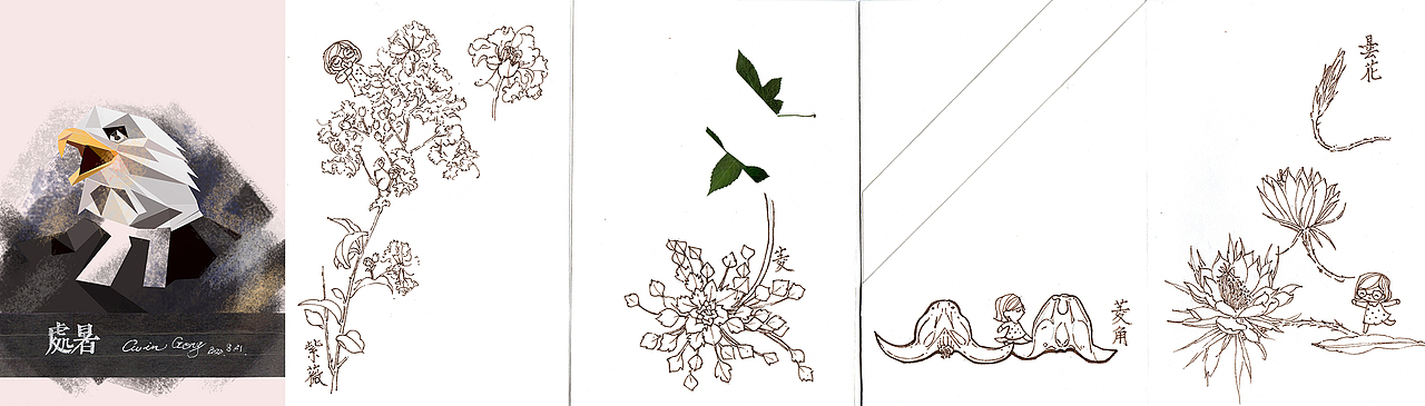 自然笔记--24节气