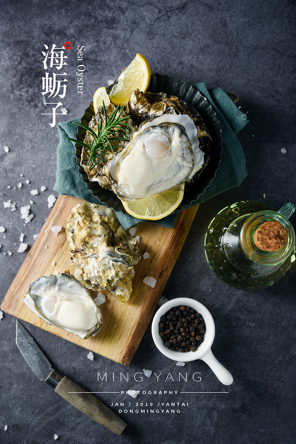 海蛎子/生蚝拍摄