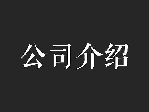 公司介紹（個人主頁-ZMzM5Mjg2OTI=） - 海報 - 站酷設計師lrling原創(chuàng)素材 - 站酷ZCOOL