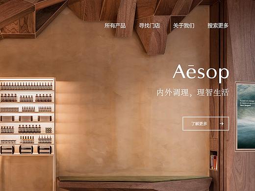 Aesop 网页设计——极简