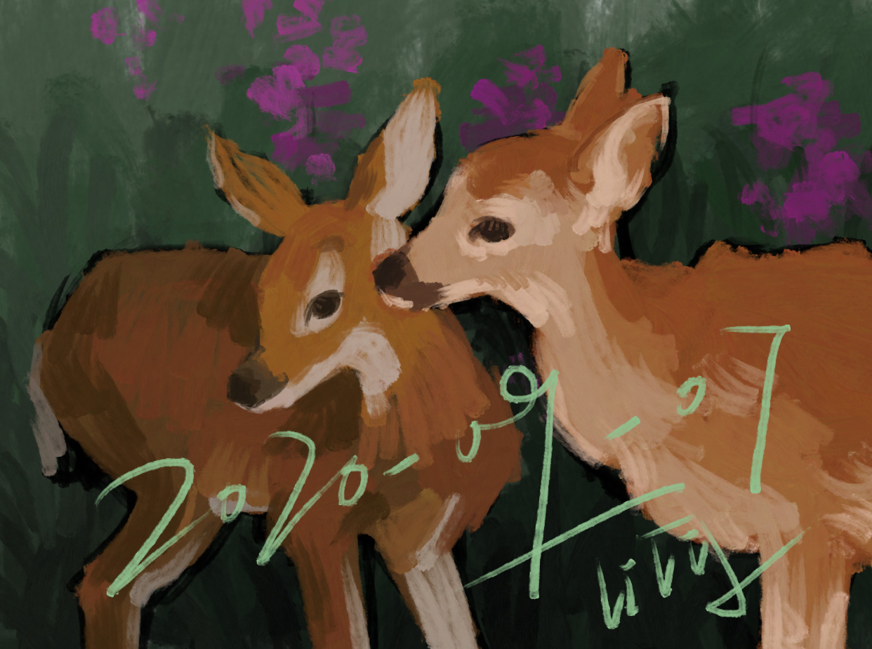 荳丁lily的个人主页（背景预览） - 主页背景设置 - 站酷设计师荳丁lily原创素材 - 站酷ZCOOL