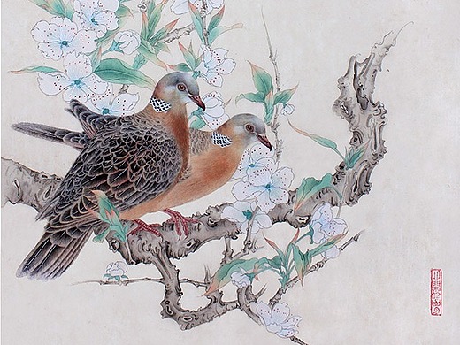 卢芳工笔画斑鸠