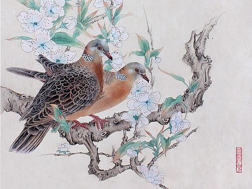 卢芳工笔画斑鸠（个人主页-ZMzcxNzYzNzI=） - 绘画 - 站酷设计师尚美一线原创素材 - 站酷ZCOOL