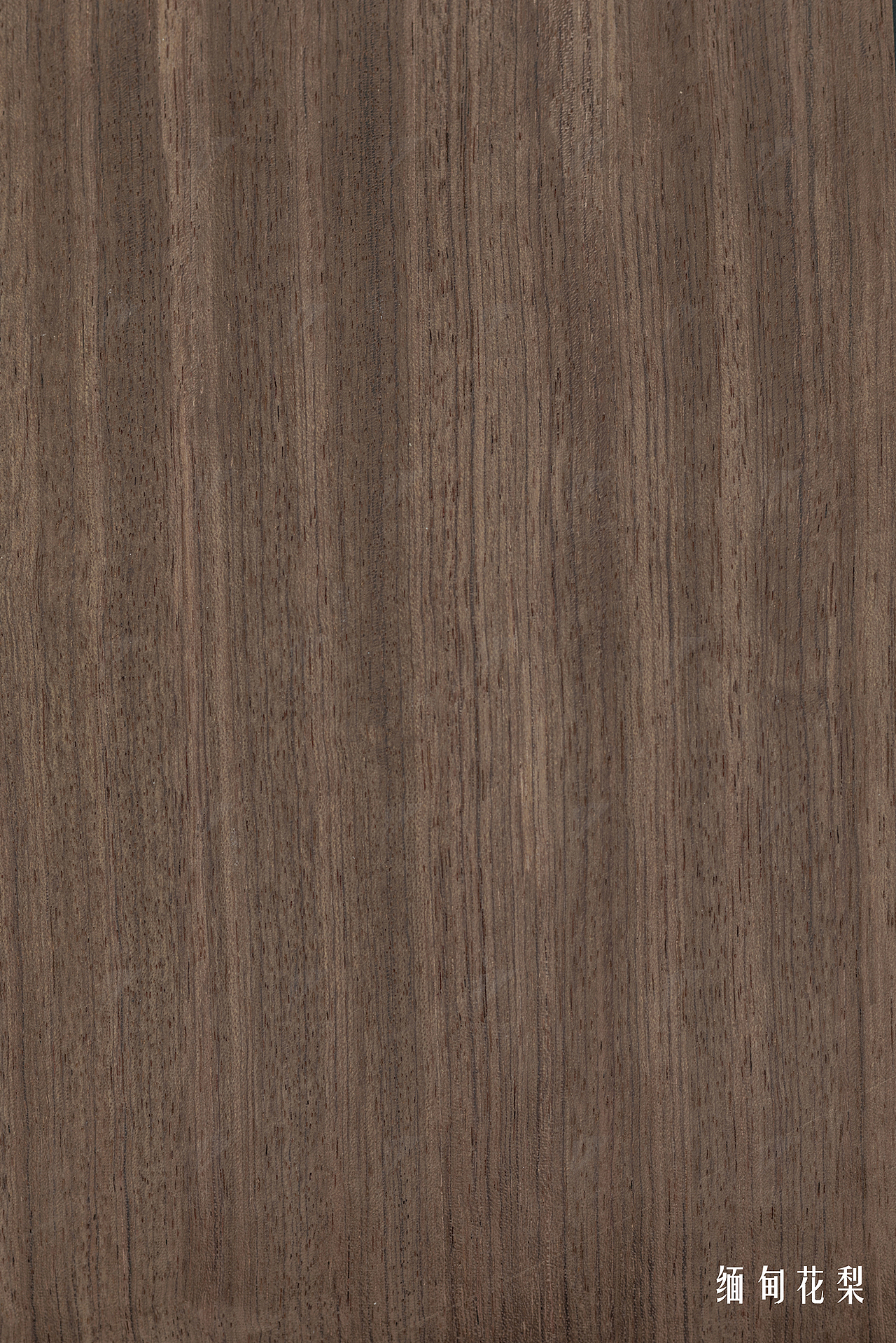 双鹰·木纹素材·木皮 | 双鹰固装（图ZMTQxNjMwOTQw） - 产品摄影 - 站酷设计师双鹰家具原创素材 - 站酷ZCOOL