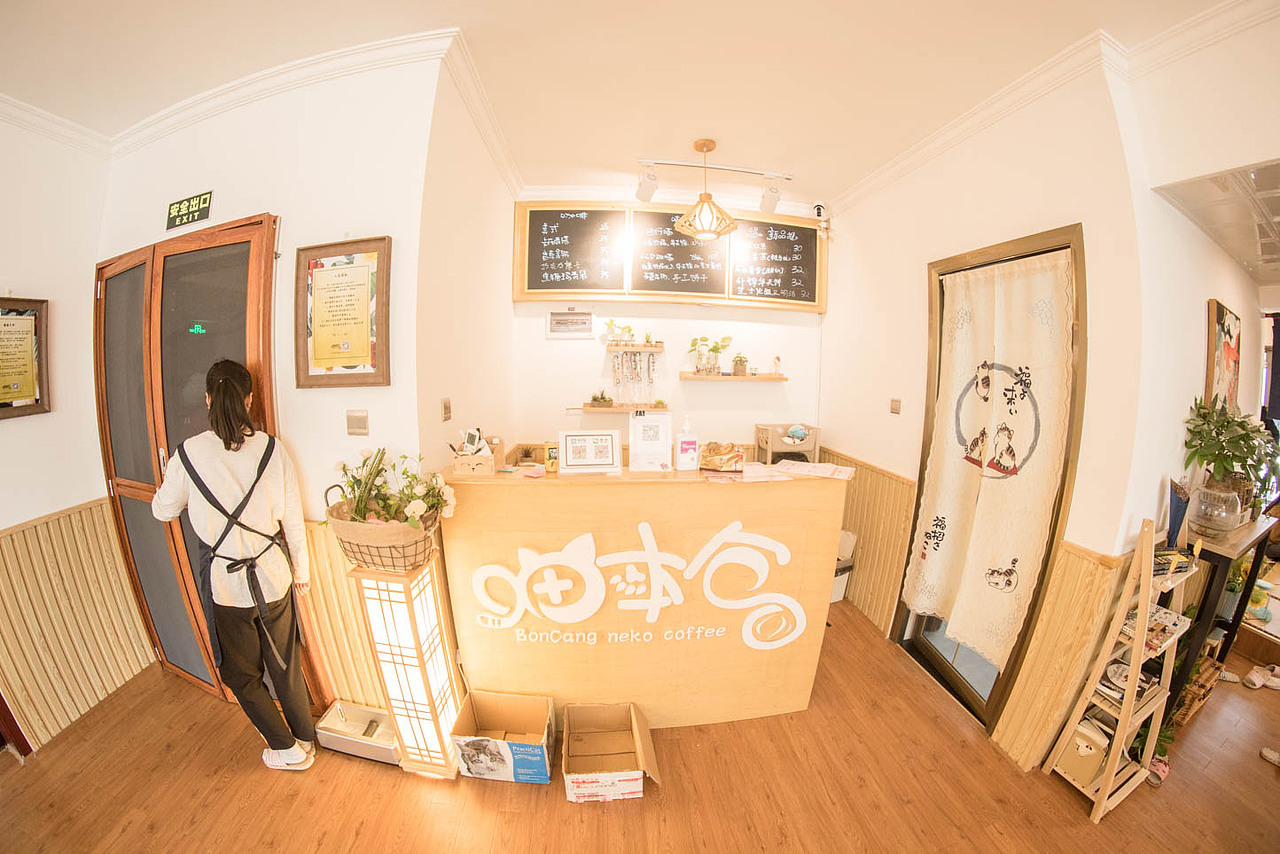 猫咖（图ZNjkyODQ0NDg=） - 宠物摄影 - 站酷设计师xubin1123原创素材 - 站酷ZCOOL