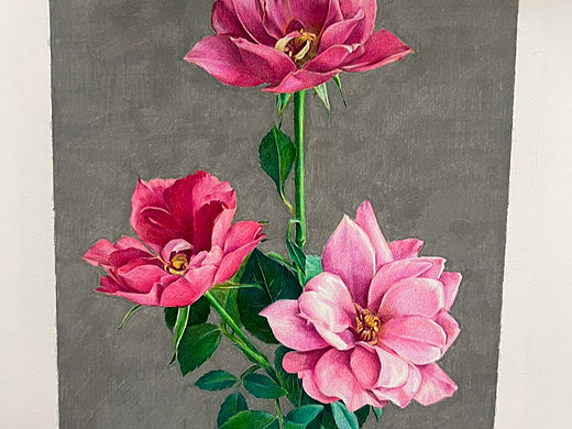 彩铅画花