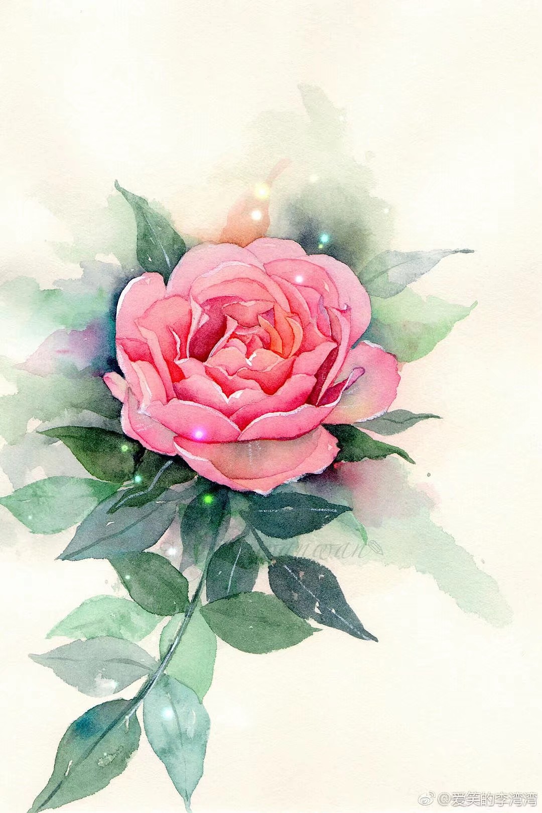 清新手绘（图ZMTI5Mjc0NTY0） - 艺术插画 - 站酷设计师一只虎斑喵呀原创素材 - 站酷ZCOOL