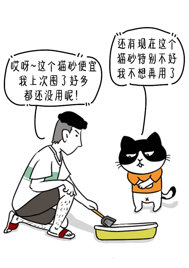 穷?就别养猫了!