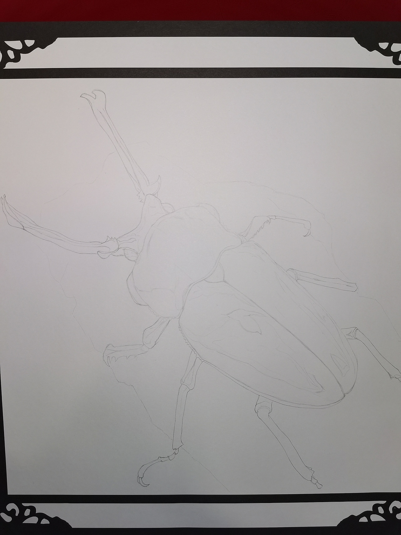 彩铅习作 彩虹锹甲