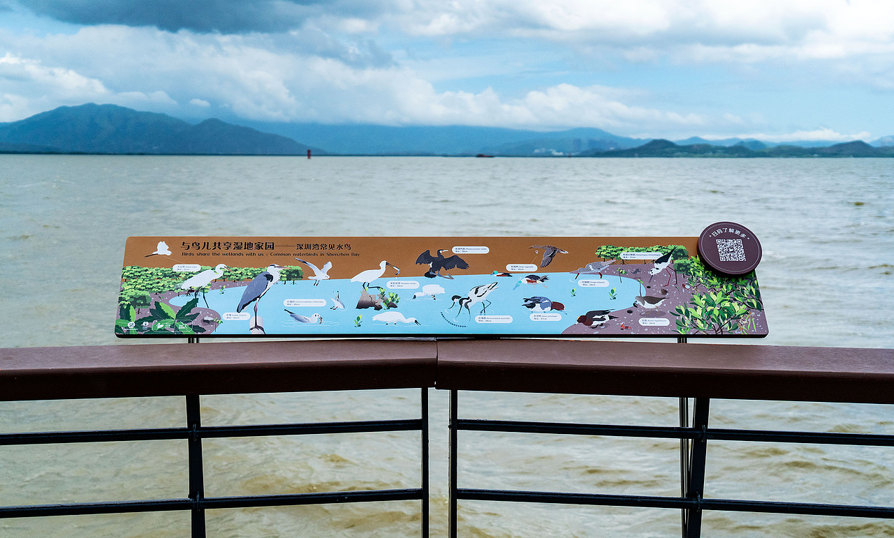 深圳湾公园湿地主题解说牌