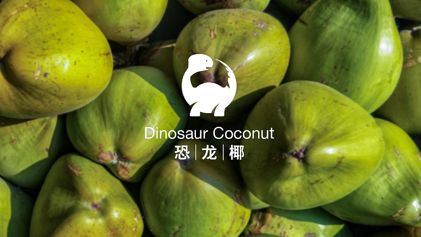 椰汁椰奶品牌logo设计（图ZMzY2OTY0MDc2） - Logo - 站酷设计师设计师小代原创素材 - 站酷ZCOOL