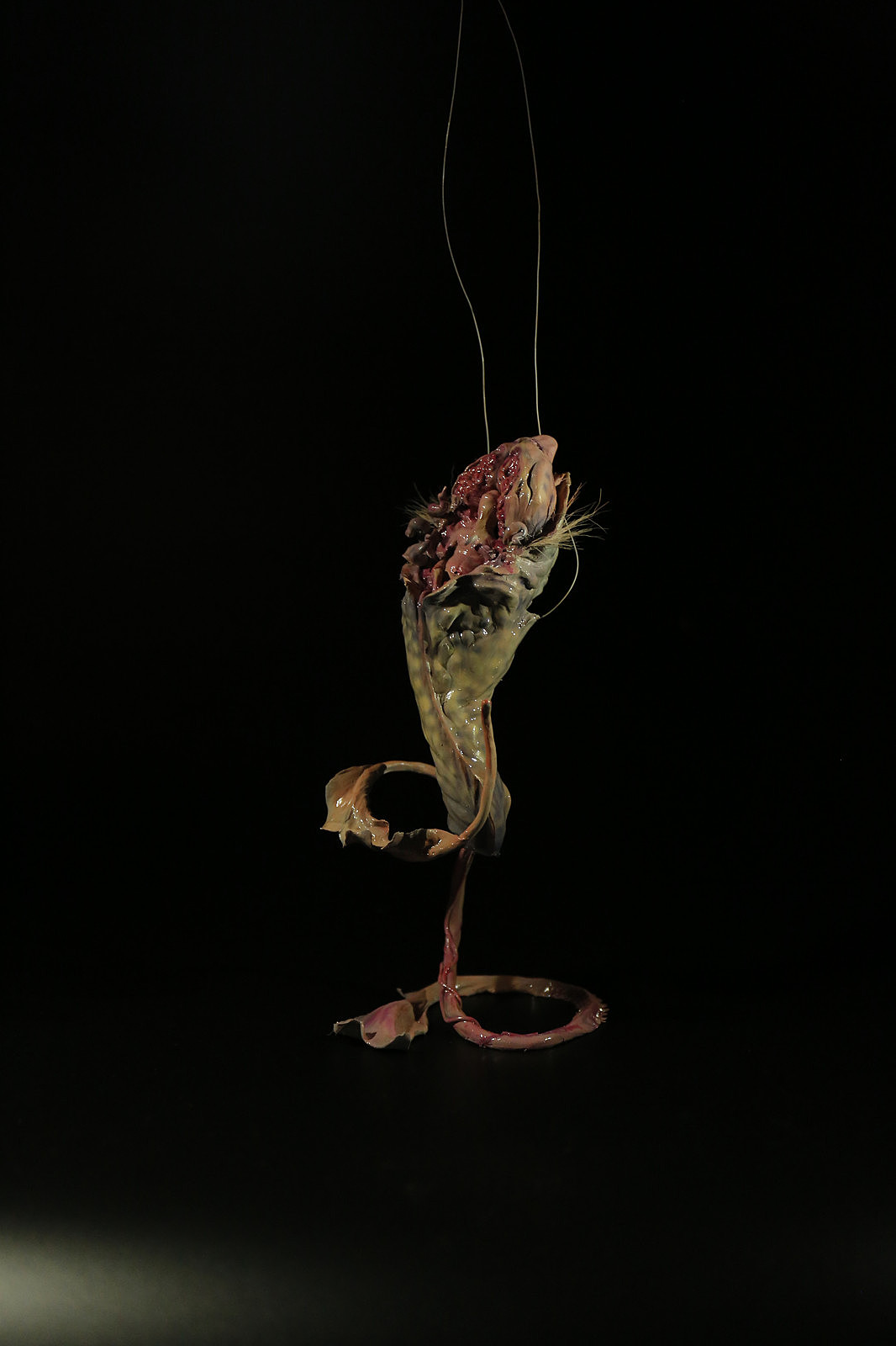 卡巴拉生命树之神秘生物