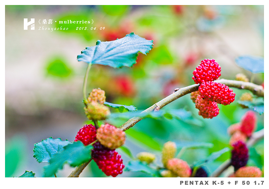 《桑葚.mulberries》（图ZODk2MDQyMA==） - 产品摄影 - 站酷设计师haodychou原创素材 - 站酷ZCOOL