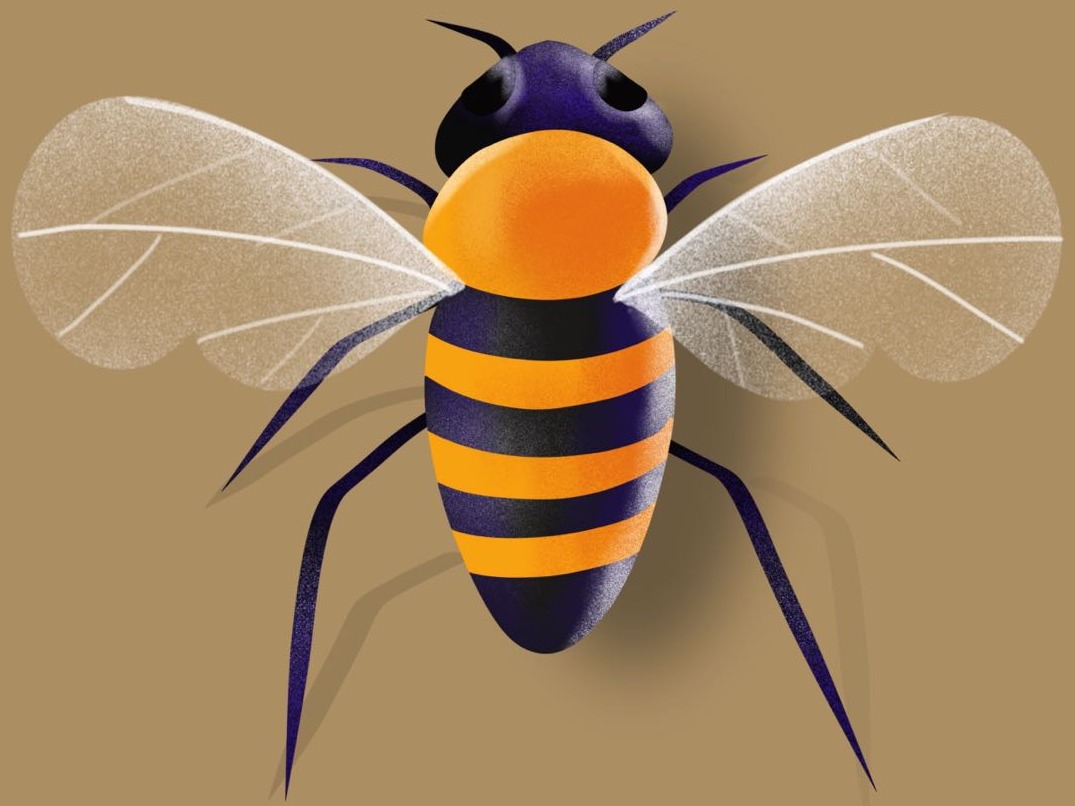 拍苍蝇模拟游戏下载,拍苍蝇模拟游戏官方安卓版 v1.1 - 浏览器家园