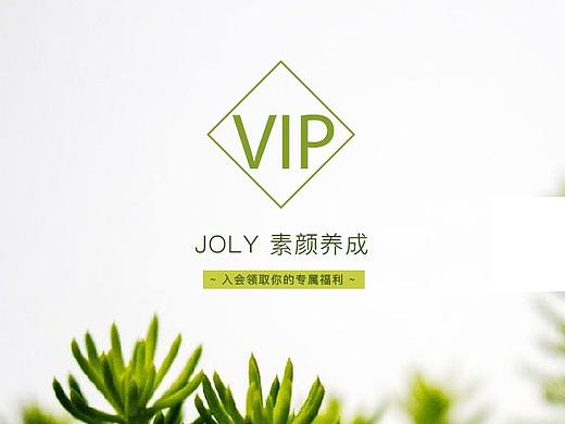 VIP会员二级页