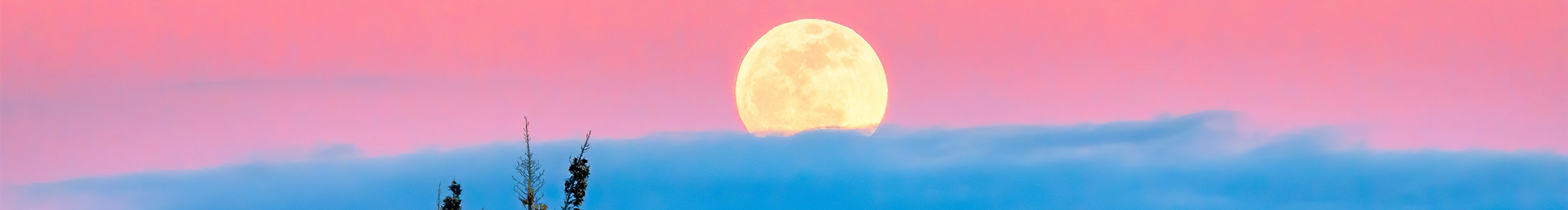 PNXL的个人主页（封面预览） - 主页封面设置 - 站酷设计师PNXL原创素材 - 站酷ZCOOL