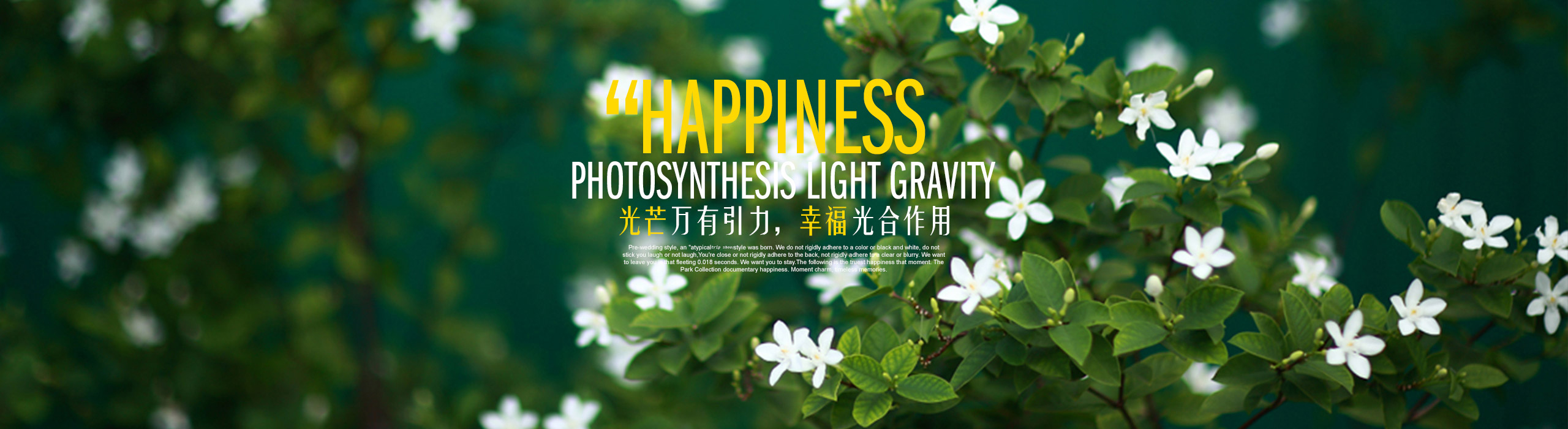 光合流年旅拍摄影的个人主页（封面预览） - 主页封面设置 - 站酷设计师光合流年旅拍摄影原创素材 - 站酷ZCOOL