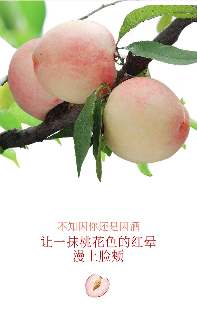 伊听蜜桃酒（图ZMjE5NjI3Mzgw） - 品牌 - 站酷设计师伊听果酒原创素材 - 站酷ZCOOL