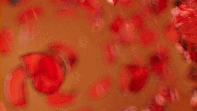 官宣 CG猎人荣获2021houdini每日挑战赛Mardini总冠军(图ZMjQ5NjQyMTgw) - 动画/影视 - 站酷设计师carldrifter原创素材 - 站酷ZCOOL