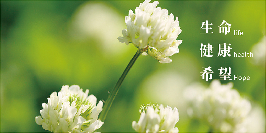 绿地优康logo设计题案（图ZMjU2NTQ0NjM2） - Logo - 站酷设计师xiaoshujun168原创素材 - 站酷ZCOOL