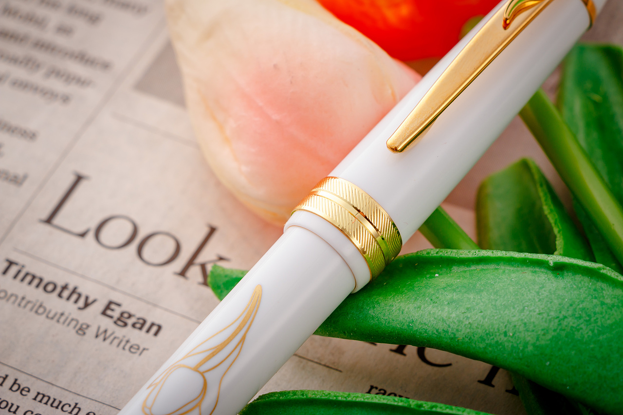 【文创】笔上生花,郁金香的优雅浪漫